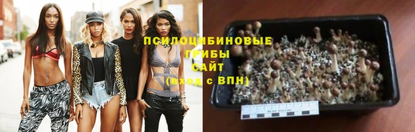 соль ск Горнозаводск