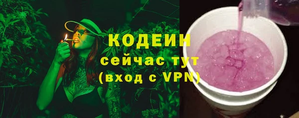 прущие грибы Гусиноозёрск