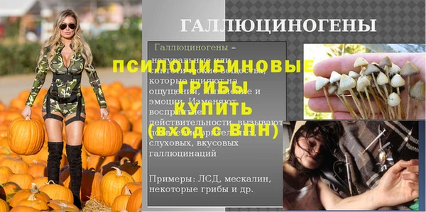 ALPHA-PVP Гусев