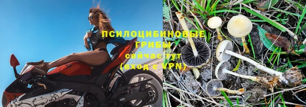 соль ск Горнозаводск